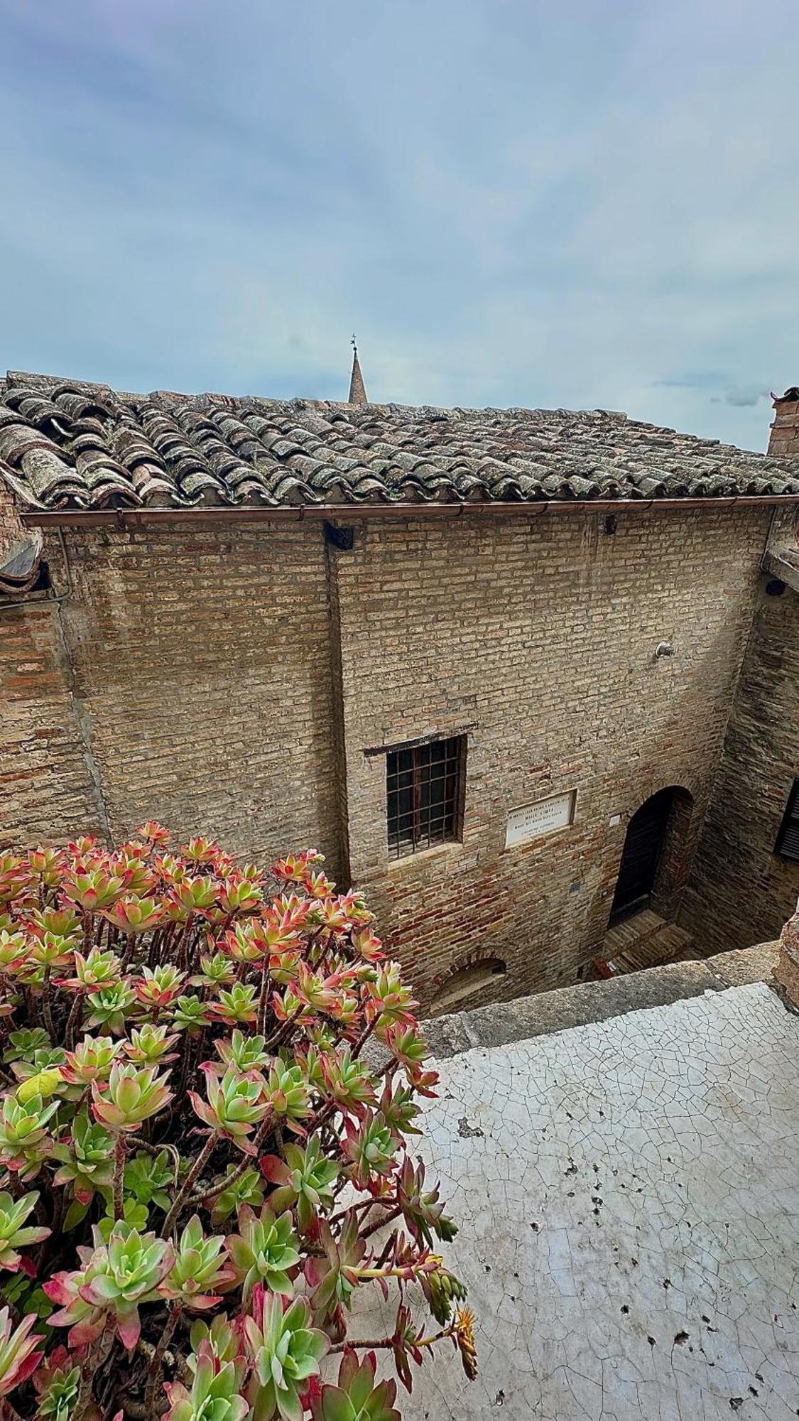 Albergo Hotel Raffaello Urbino Eksteriør billede